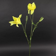 DAY LILY SPRAY NEW YELLOW A4