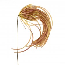 30" GRASS SPRAY