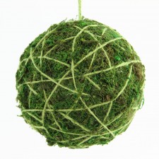 6" HANGING MOSS BALL GREEN