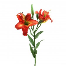 24"TIGER LILY SPRAY X2 A4