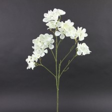 HYDRANGEA X7 CREAM A25