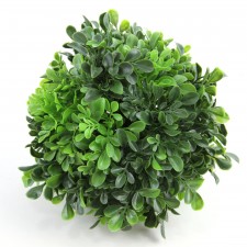 7"BOXWOOD BALL NATURAL