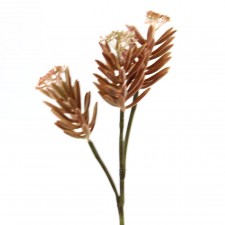 15"ALOE FLOWER SPRAY X3