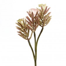 15"ALOE FLOWER SPRAY X3