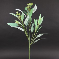 33"EUCALYTPUS SEED SPRAY