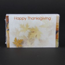 #3491 HAPPY THANKSGIVING CARD