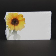 #3725 NO SENTIMENT CARD
