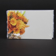 #3494 CARD NO SENTIMENT FALL