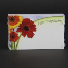 FELIZ CUMPLEANOS CARD