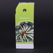 BROMELIAD TRIM CARE TAG