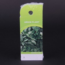 5.25"CARE TAG GREEN PLANT