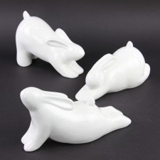 DOL YOGA BUNNY FIG A4