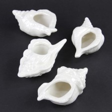 1.8"X3"IRID SHELL CNTAINR A4