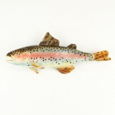 15.5" TROUT