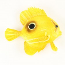 8.5" TROPICAL FISH YELL/BLACK