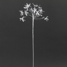 26" ACRYLIC AGAPANTHUS
