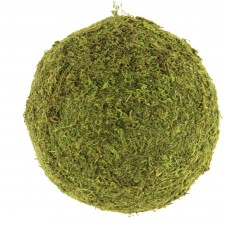 200MM MOSS COVERED BALL