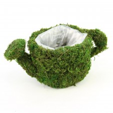 9.5"MOSS WATERING CAN
