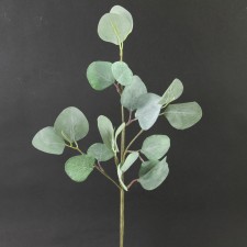 19" EUCALYPTUS PICK GREEN