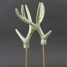 13"ANTLERS 2/BG CHAMPAGNE