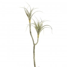 18" PLST.GRASS X2