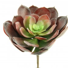 9" SUCCULENT BURGUNDY