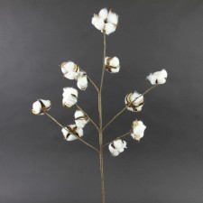 22"COTTON SPRAY X6