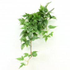 27"MAPLE IVY HANG.BUSH X6