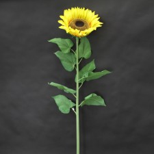 52"SUNFLOWER X1 YELLOW