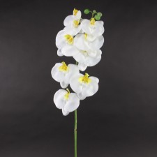39.5"ORCHID SPRAY WHITE