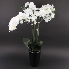 29.5" POTTED ORCHID WHITE
