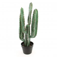 27"CACTUS X5 POTTED GREEN