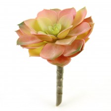 5" SUCCULENT STEM GRN/RED