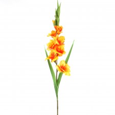 38"GLADIOLA X11 ORANG/RED A25