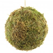 6" MOSS BALL W/HANGER MOSS GR