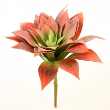 8.5"SUCCULENT STEM ORANGE