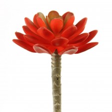 4.75"X3"D SUCCULENT STEM RED