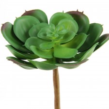 4.5"SUCCULENT STEM GREEN