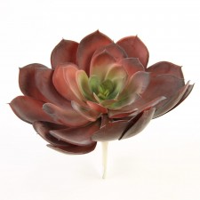 7"SUCCULENT STEM RED
