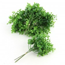 EUCALYPTUS 6BU/PKG