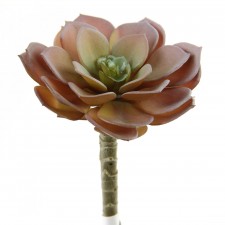 5" SUCCULENT STEM BURGUNDY