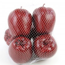 3.5" APPLE 6PC/BG