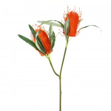 30.5"THISTLE SPRAY X2