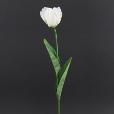 23" TULIP STEM X 1 W/LVS