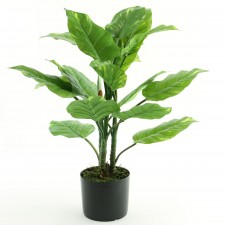 27"POTHOS PLANT W/POT