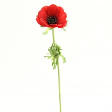 16" ANEMONE STEM X1