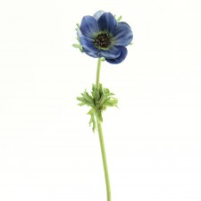 16" ANEMONE STEM X1