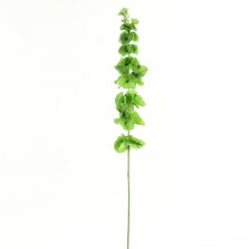 33" BELL OF IRELAND STEM
