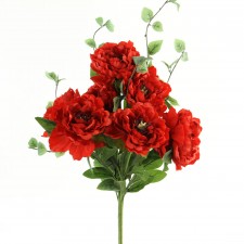 24" GARDEN PEONY BUSH X 7