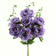 24" GARDEN PEONY BUSH X 7